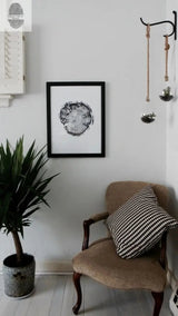 Black-framed print of a cross-section of a tree trunk with visible rings hangs above a beige cushioned chair with a black and white checkered pillow, near a potted plant and hanging glass planters.