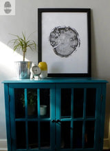Black and white framed print of a pine tree cross-section with visible growth rings, placed on a teal cabinet alongside a small plant, clock, and yellow and white object.