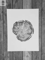 Black and white print of a cross-section of a tree trunk showing detailed growth rings, displayed on wooden planks background.
