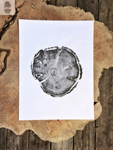 Black ink print of a circular tree cross-section showing growth rings and bark texture, centered on white paper resting on a large natural wood slab with irregular edges.