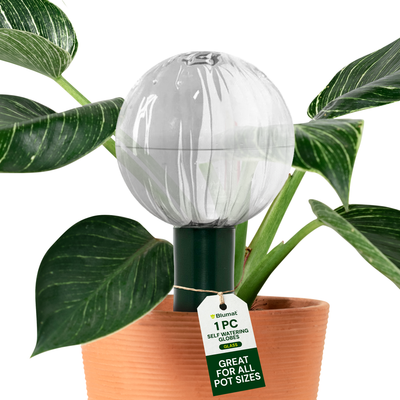Blumat Glass Plant Self Watering Globes by Sustainable Village - product image 2 for Resin Society