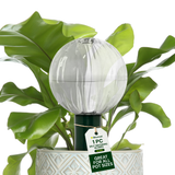 Blumat Glass Plant Self Watering Globes by Sustainable Village - product image 3 for Resin Society