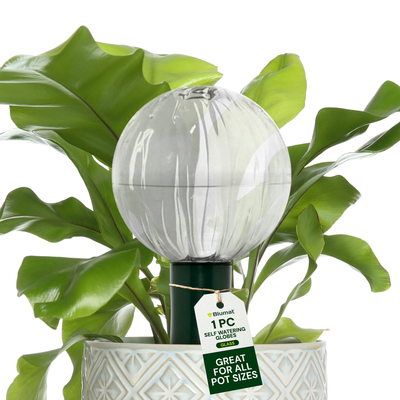 Blumat Glass Plant Self Watering Globes by Sustainable Village - product image 3 for Resin Society