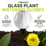 Blumat Glass Plant Self Watering Globes by Sustainable Village - product image 14 for Resin Society