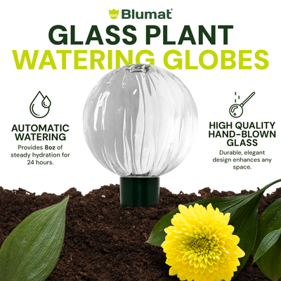 Blumat Glass Plant Self Watering Globes by Sustainable Village - product image 14 for Resin Society