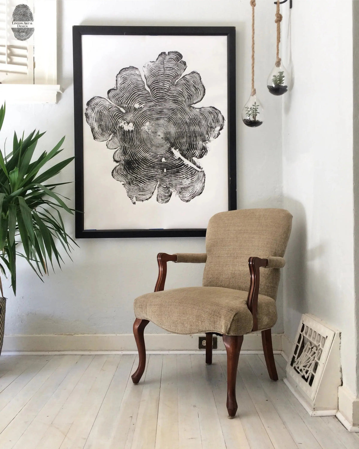 Black and white Western Red Cedar tree ring print in a black frame hung above a beige upholstered chair with wooden arms and legs, next to a green leafy plant and hanging glass terrariums.