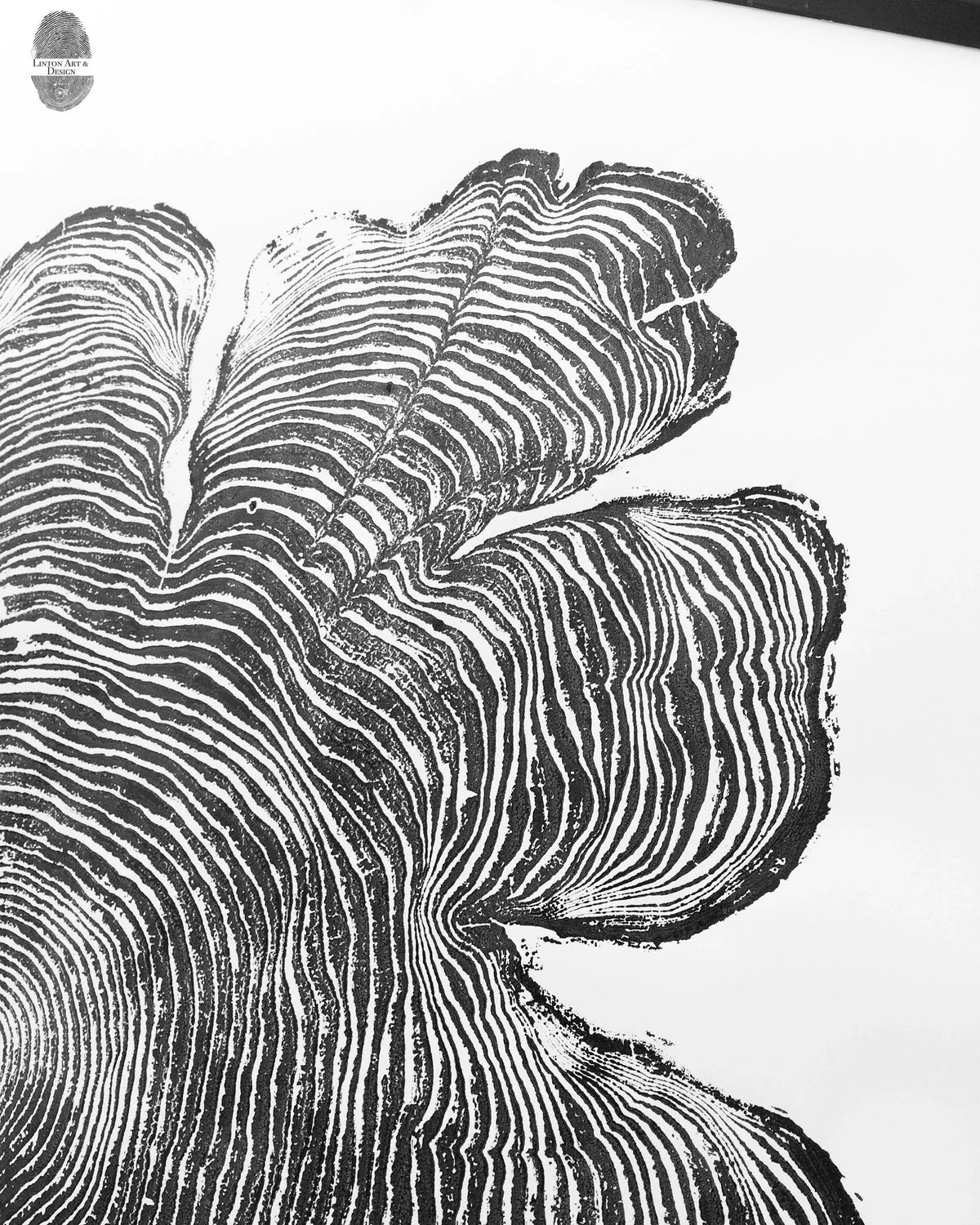 Black and white woodcut print showing detailed concentric growth rings and irregular outer edges of a Western Red Cedar tree cross-section.