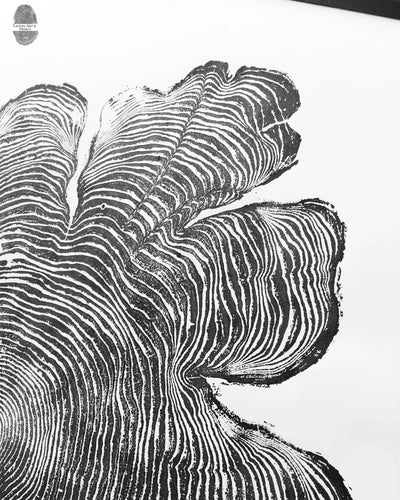 Western Red Cedar Woodcut Print • Oregon Coast Tree Ring Wall Art • PNW Nature Art 24×48″ Hand-Printed