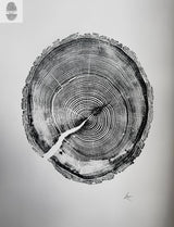 Black and white wood ring cross-section impression showing detailed concentric growth rings and bark texture on a pale background with artist initials in the corner.