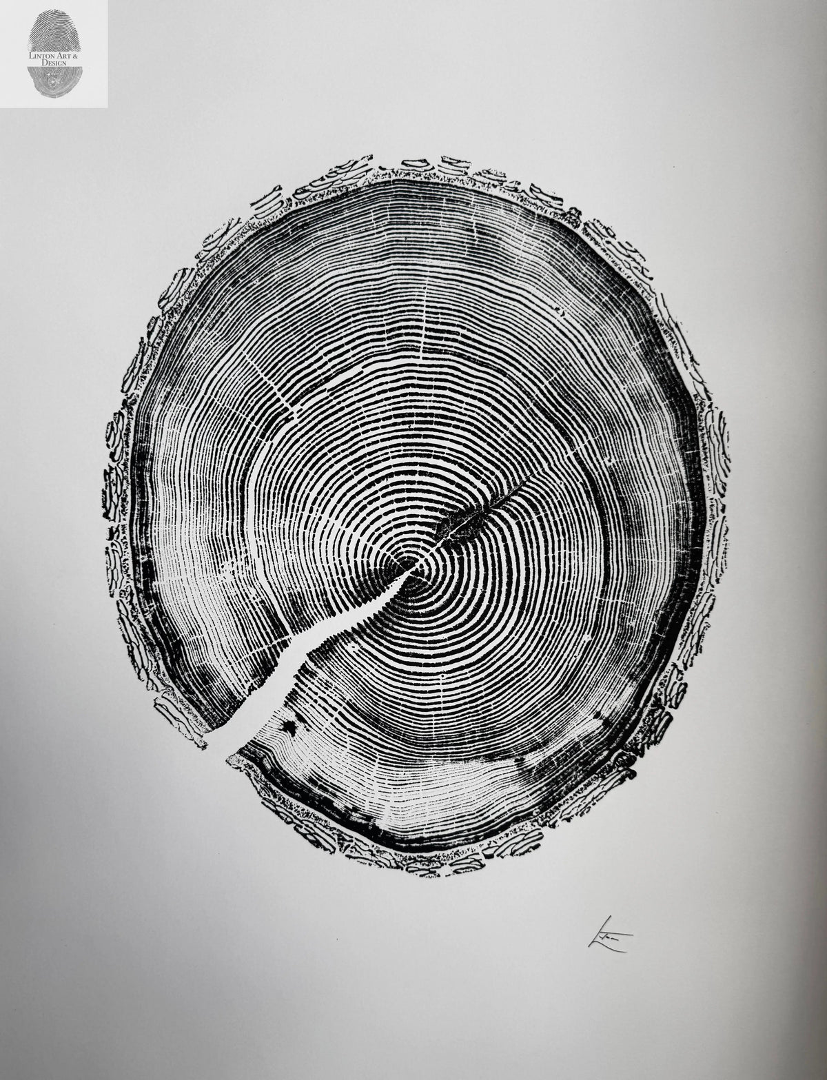 Black and white wood ring cross-section impression showing detailed concentric growth rings and bark texture on a pale background with artist initials in the corner.