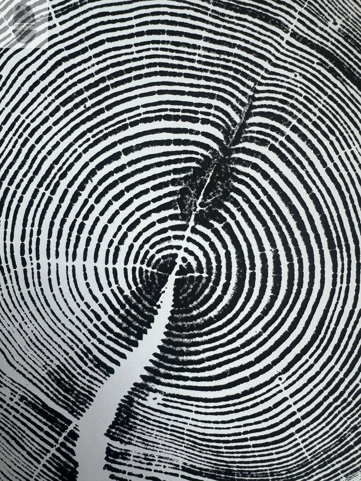 Black and white print of concentric tree rings with a central knot and a prominent crack extending from the center to the edge.