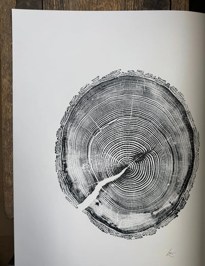 White Pine Tree Ring Impression – Taylor County, WI – 18x24 Signed Artwork