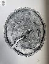 Black and white print of a cross-section of a White Pine tree showing detailed annual rings and natural cracks on a white background, signed at the bottom right.