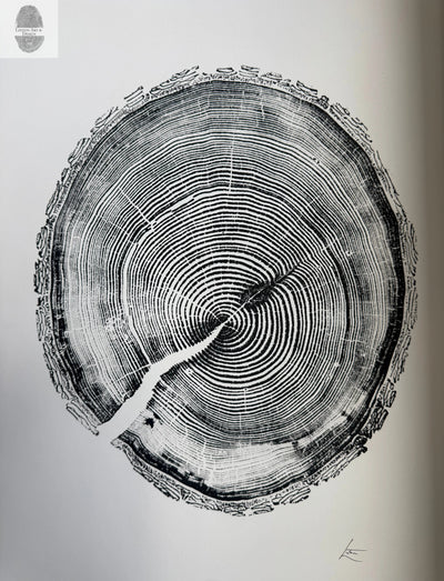 White Pine Tree Ring Impression – Taylor County, WI – 18x24 Signed Artwork