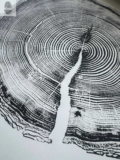 White Pine Tree Ring Impression – Taylor County, WI – 18x24 Signed Artwork