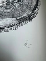 Black and white detailed print of a white pine tree ring cross-section with visible growth rings and textured bark edges on white paper, signed by the artist.