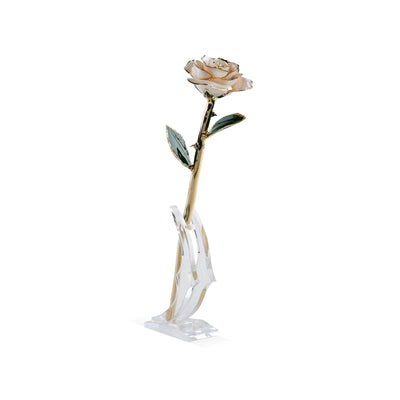 Timeless Rose (White) by ROSEPHORIA - product image 2 for Resin Society