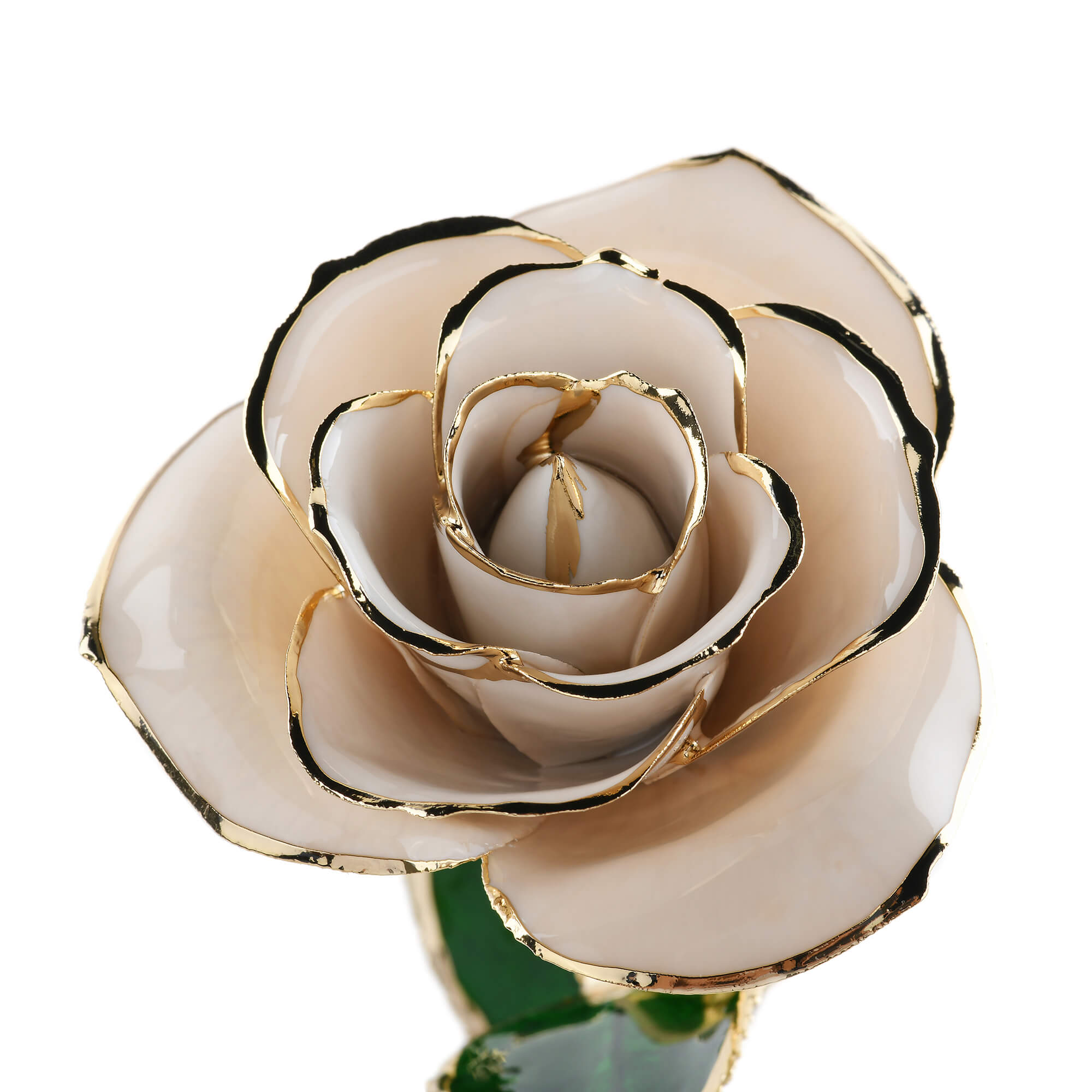 Timeless Rose (White) by ROSEPHORIA - product image 3 for Resin Society