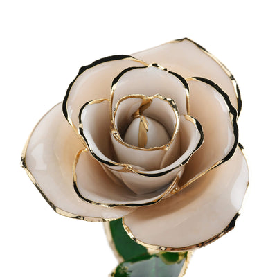 Timeless Rose (White) by ROSEPHORIA - product image 3 for Resin Society