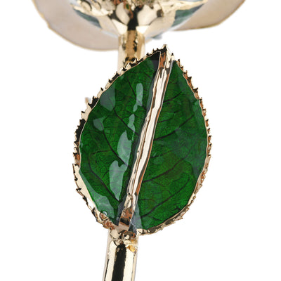 Timeless Rose (White) by ROSEPHORIA - product image 5 for Resin Society