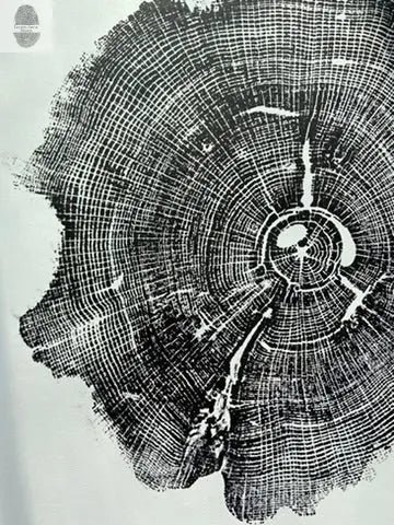 Williamsburg Virginia Oak 18x24 inch art print showing detailed oak tree rings