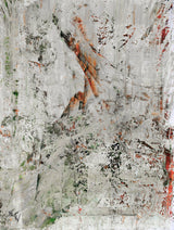 Wings Artist Enhanced Canvas Print by John Beard Collection - main product image for Resin Society