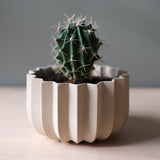 Small green cactus with long white spines in a beige, vertically ribbed ceramic planter on a light wood surface against a neutral gray background.