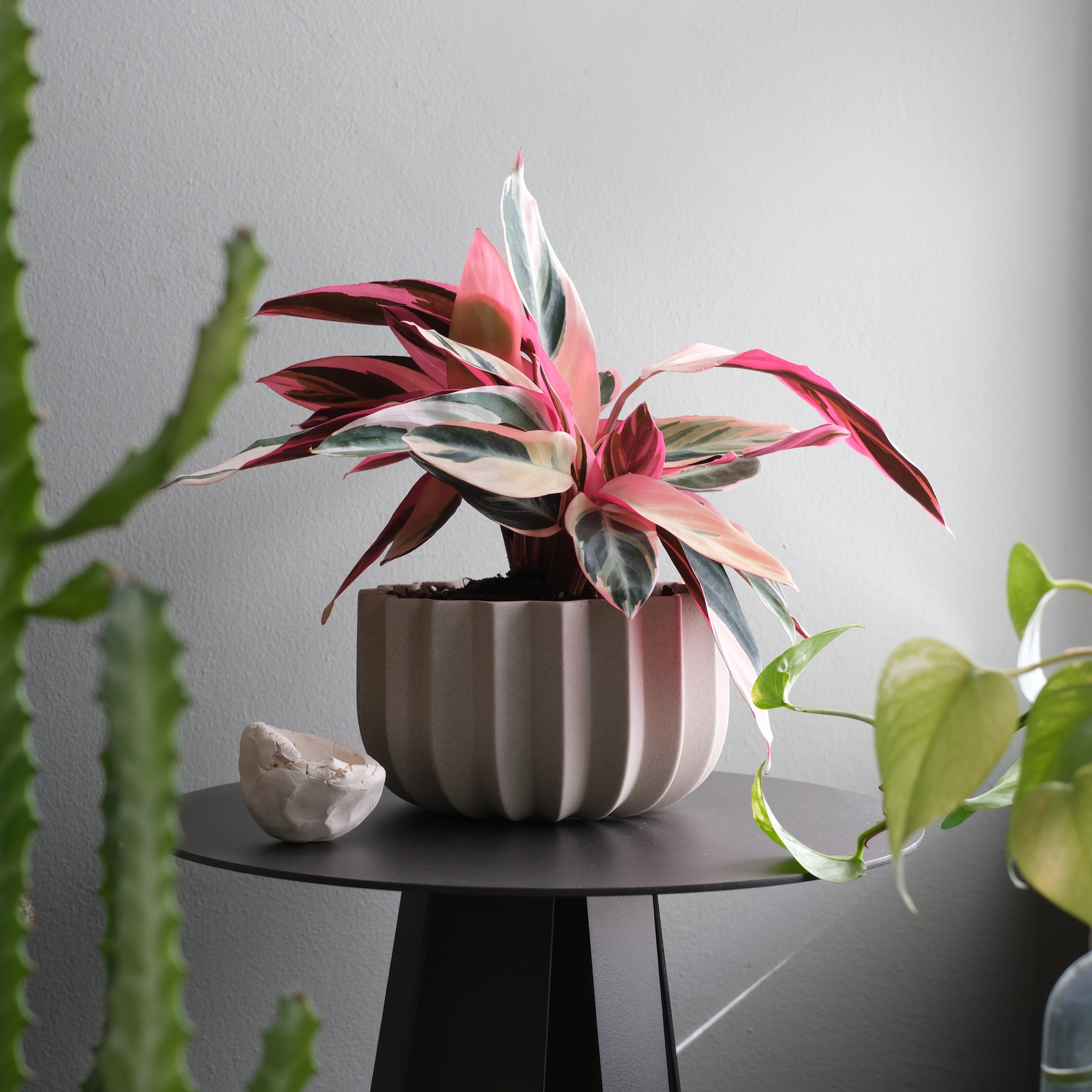 Ceramic Wrap Planter with vertical ridges in dune color