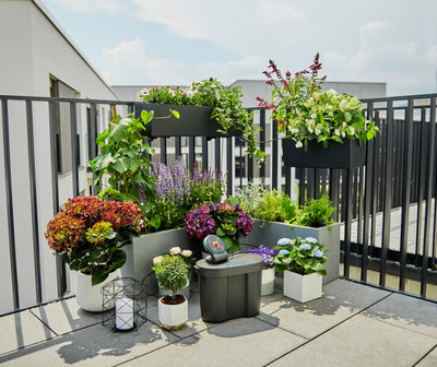 AquaBloom Automatic Plant Watering System detail image - Resin Society