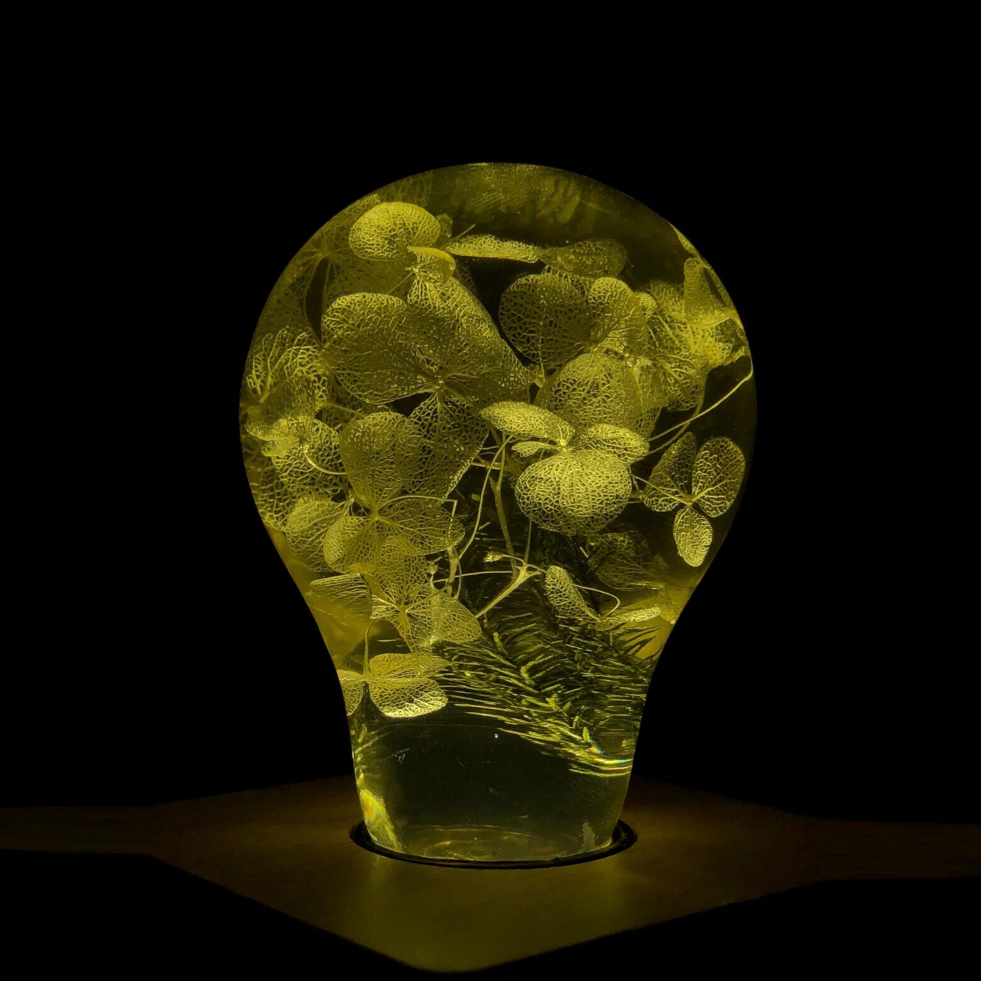 EP Light 3-Pack Resin LED Lights Gift Set showing handcrafted resin bulbs with LED lighting