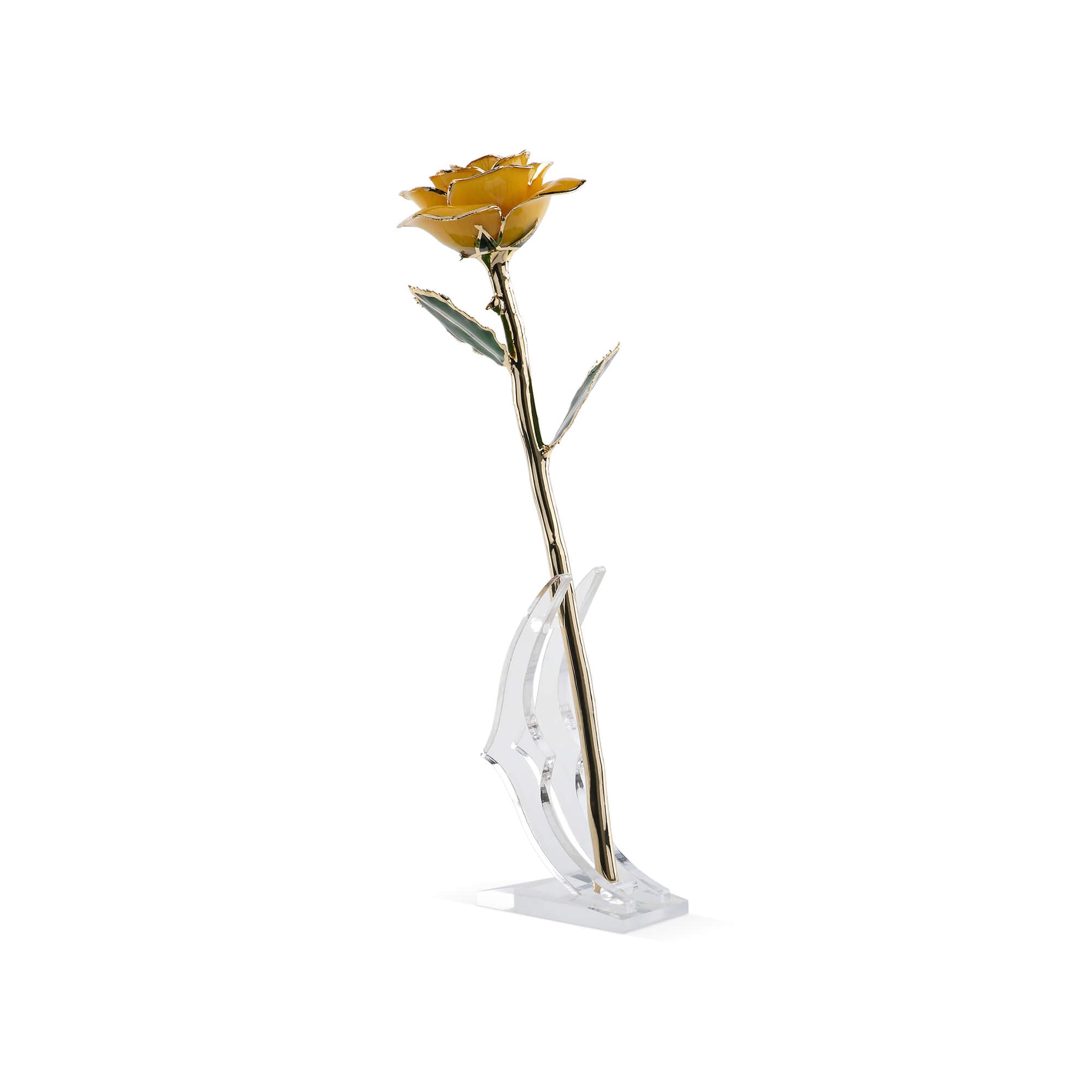 Timeless Rose (Yellow) - Preserved real rose dipped in 24K gold displayed upright