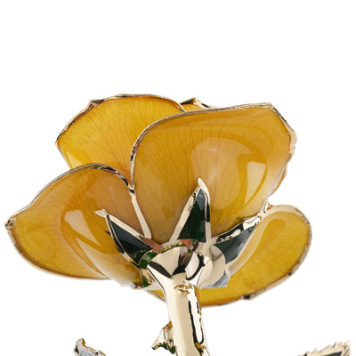 Timeless Rose (Yellow)