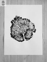 Black and white print of a cross-section of a pine tree trunk, showing detailed growth rings and cracks on a plain background.