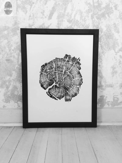 Yellowstone Pine - 18x24 print