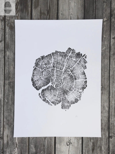 Yellowstone Pine - 18x24 print