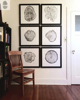 Six framed black and white tree ring cross-section prints arranged in two columns and three rows on a white wall above a wooden chair beside a bookshelf and a white door.