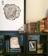 Black shelving unit with framed black-and-white pine cross-section print above, diverse vintage books, sculpted stone head, and framed feather photo on shelves.