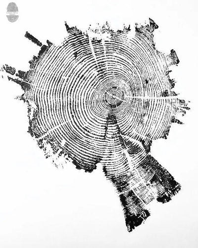 Yellowstone Pine II 18x24 print showing the jagged edge and detailed tree rings of a burned Yellowstone pine