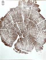 Brown ink woodblock print of a tree cross-section showing detailed growth rings and natural cracks on white paper.