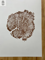 Brown ink hand-pressed woodblock print of Yellowstone tree rings on white 11x14 inch paper, showing detailed growth rings and natural cracked patterns.
