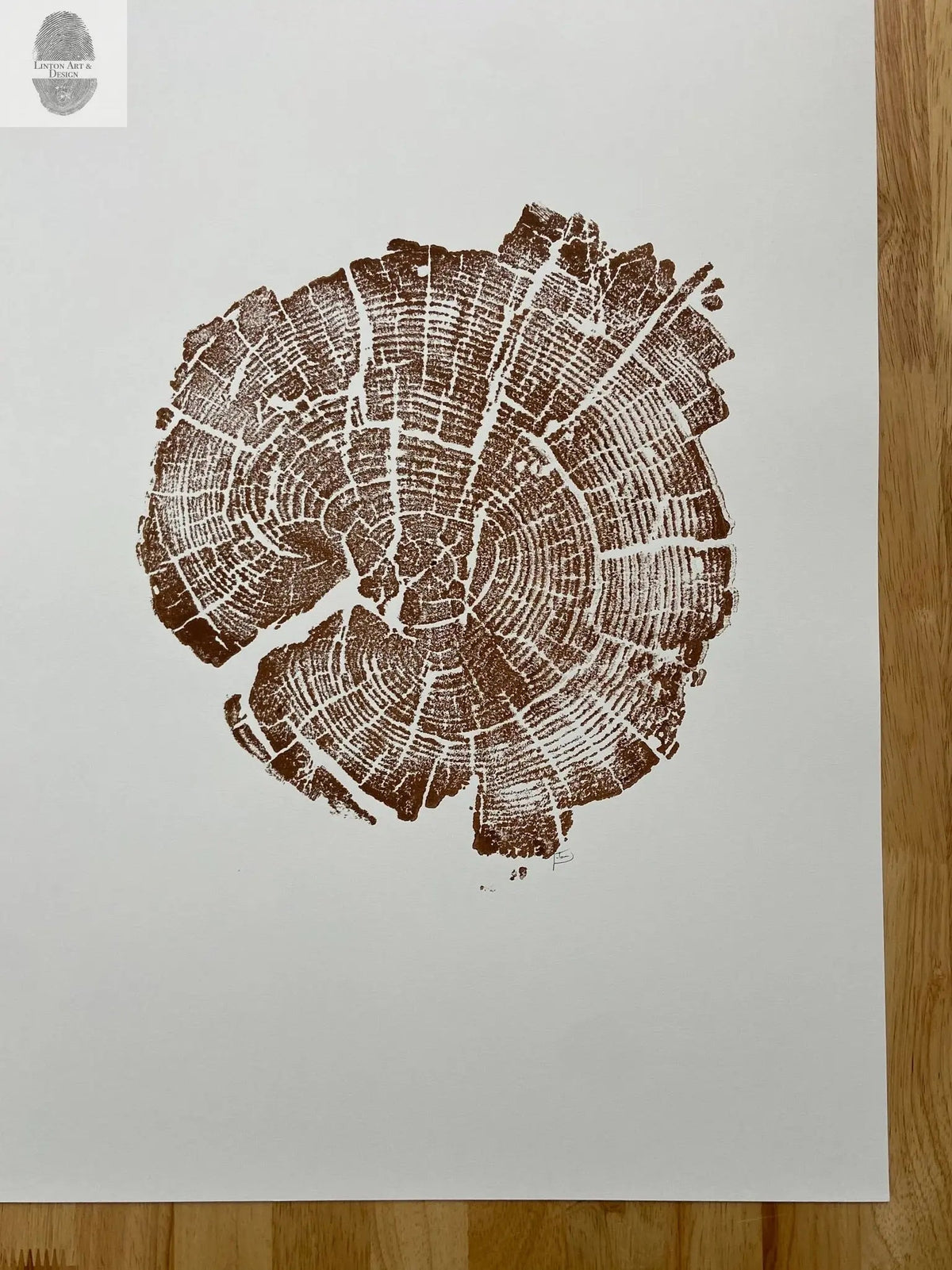 Brown ink hand-pressed woodblock print of Yellowstone tree rings on white 11x14 inch paper, showing detailed growth rings and natural cracked patterns.