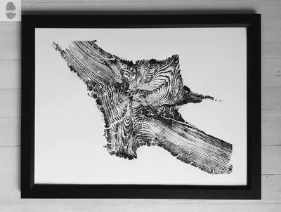 Yellowstone woodcut print showing detailed pine tree root patterns with live edge and wood burning art