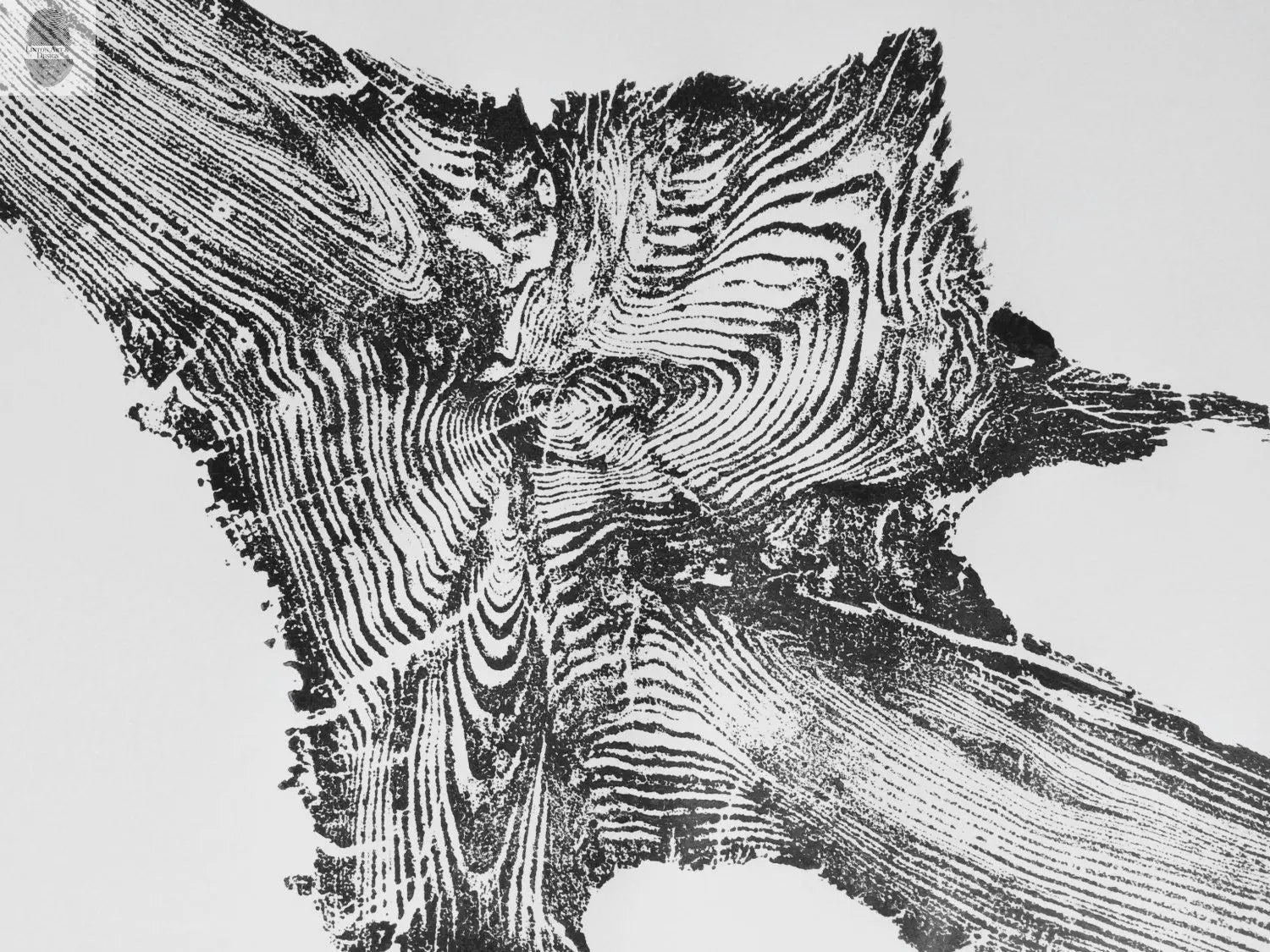 Yellowstone, Woodcut Print, Lumber, National Park Art, Wood Burning Art, Live Edge, Modern Botanical, Forestry, Signed Original