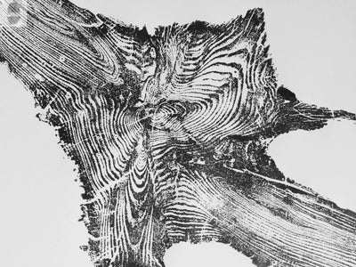 Yellowstone, Woodcut Print, Lumber, National Park Art, Wood Burning Art, Live Edge, Modern Botanical, Forestry, Signed Original