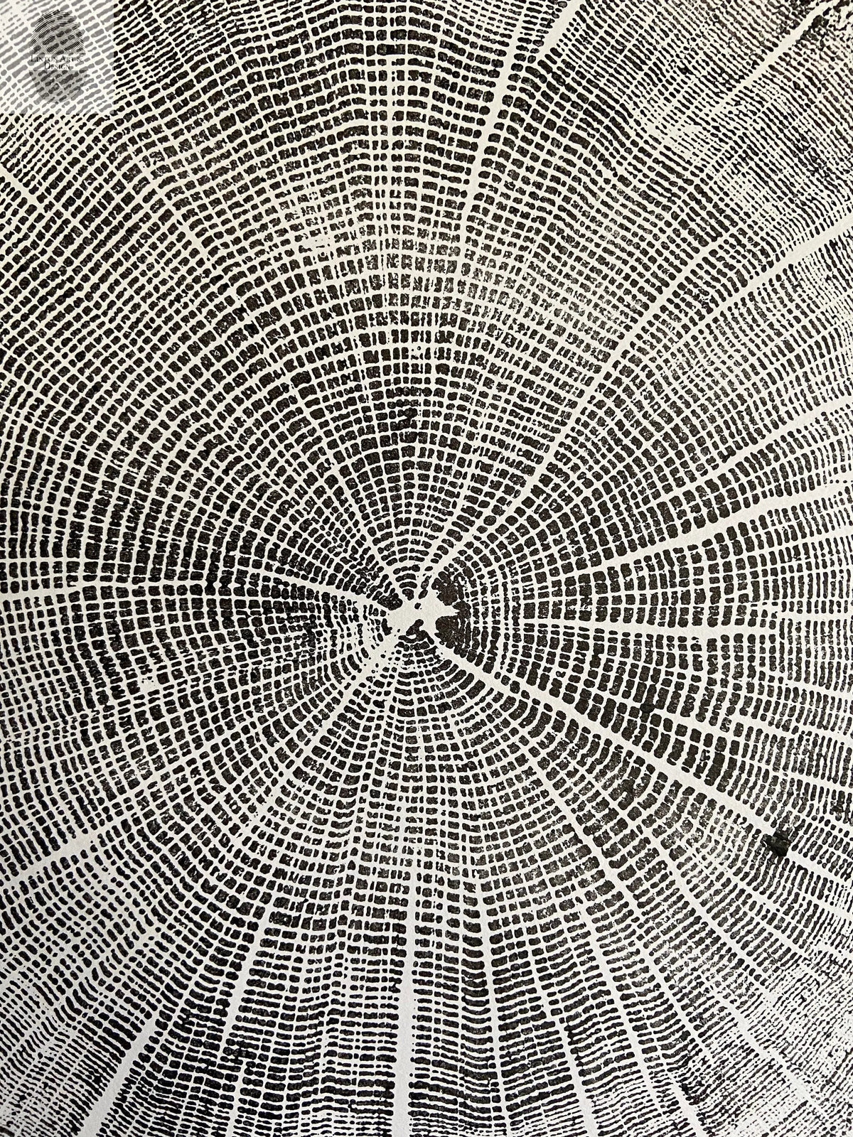 Black and white print showing detailed concentric growth rings and radial cracks of an oak tree cross-section, highlighting the wood's natural texture and patterns.