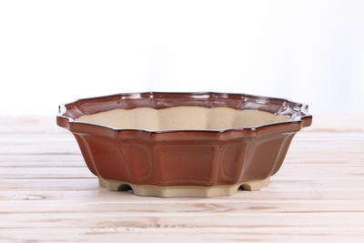 Willow Bonsai Ceramics Flower Design Bonsai Pot 10 Inch (Sunset)