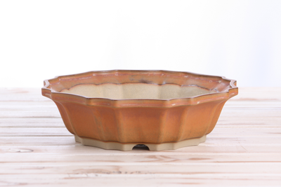 Willow Bonsai Ceramics Flower Design Bonsai Pot 10 Inch – Deep Stone