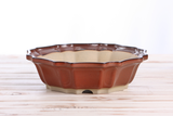 Round, shallow ceramic bonsai pot with scalloped edges in a warm reddish-brown glaze and beige unglazed base, shown against a light background on a wooden surface.