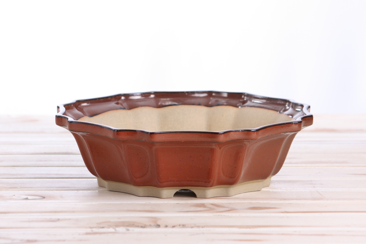 Round, shallow ceramic bonsai pot with scalloped edges in a warm reddish-brown glaze and beige unglazed base, shown against a light background on a wooden surface.
