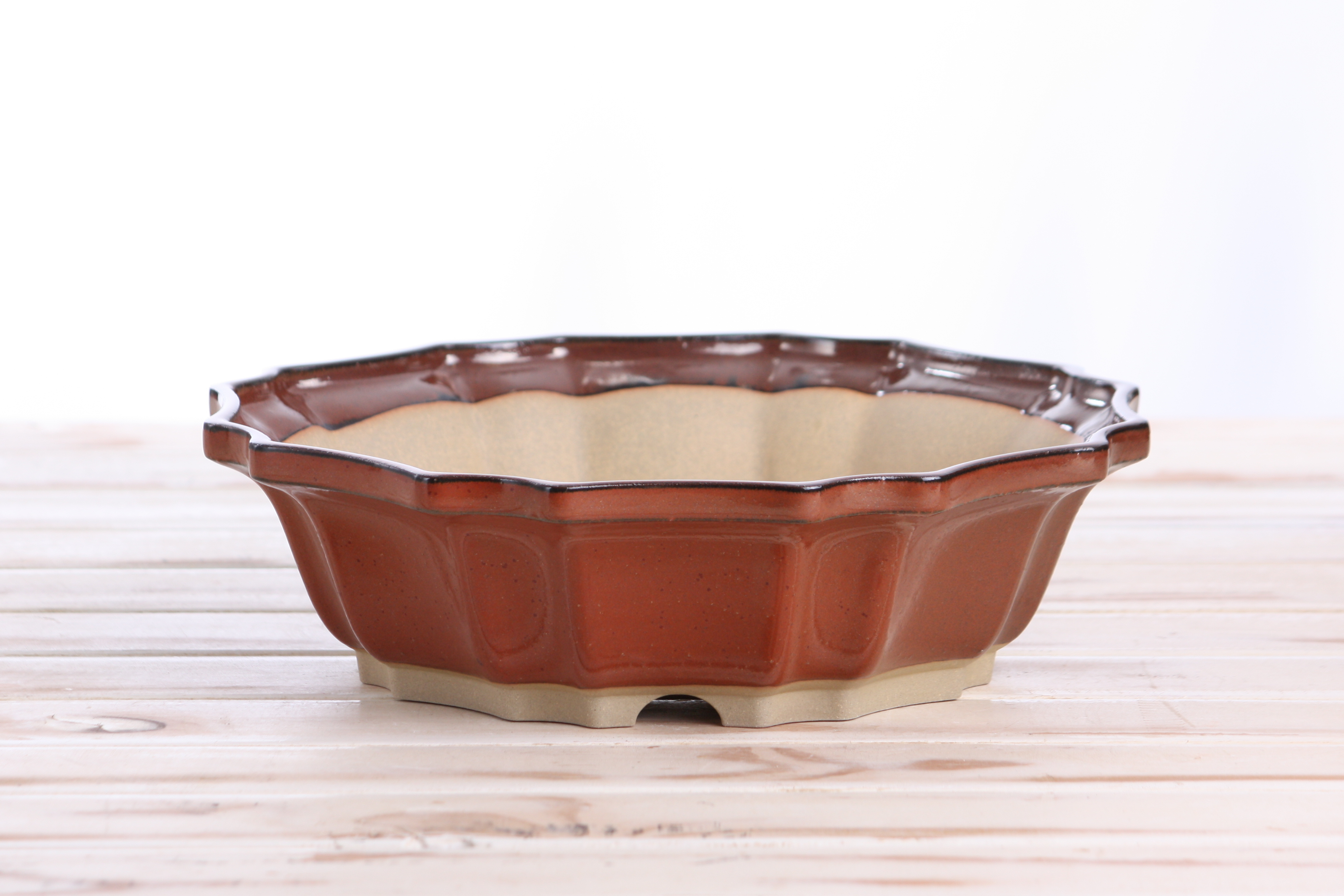 Willow Bonsai Ceramics Flower Design Bonsai Pot 10 Inch (Sunset)
